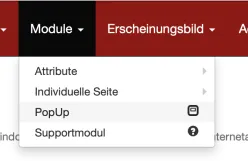 popup 1